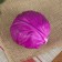 Flood "Red cabbage" 10 cm