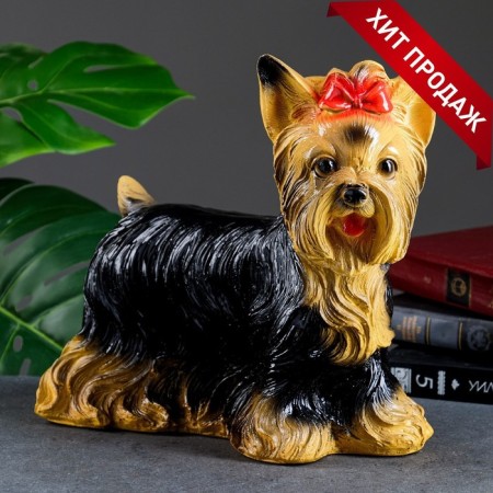 Piggy bank "Yorkshire Terrier" Standing, 16x32x28cm-4