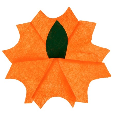 Carnival set "Autumn pumpkin", felt-10