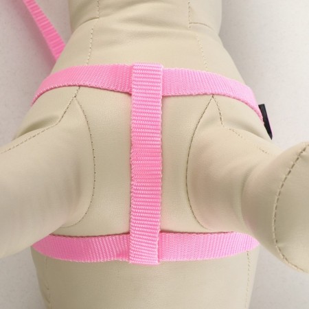 Set "Basis", leash 120 x 1.5 cm, OG 32-46 cm, pink-2