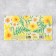Money envelope "Congratulations", flowers, 19 x 0.7 x 9.5 cm
