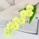 Flowers artificial "Sakura branch" 70 cm, yellow