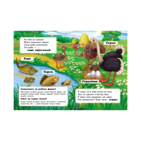Mini Encyclopedia “Who is it? On the farm"-4