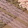 Capricon lace, 40 mm × 10 ± 1 m, pink color