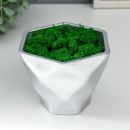 Kashpo concrete "Fantasy" Height 9 cm silver with moss (moss green stabilized)-1