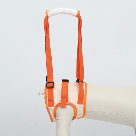 Auxiliary belt for hind legs, size M (from 56-66 cm, weight 25-40 kg), orange-1