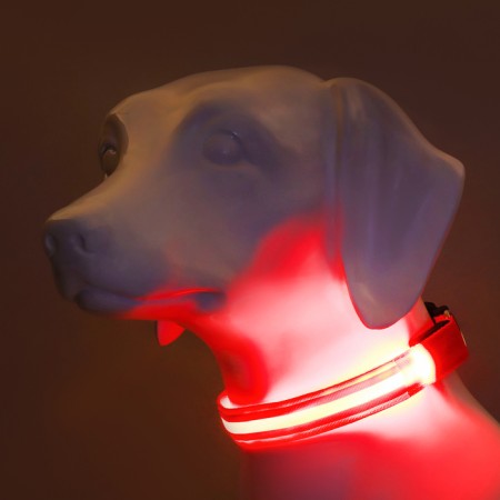 Collar with backlight double strip size L, Osh 45-52 x 2.5 cm, 3 glow modes red-1