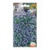 Flower seeds forget -me -not Victoria, Euro, 0.2 g