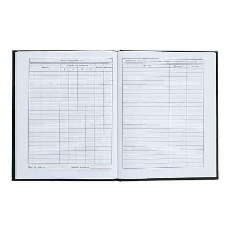 Diary for the MIXTAPE music school, 48 sheets, solid cover, matte lamination, foil embossing, offset block-7