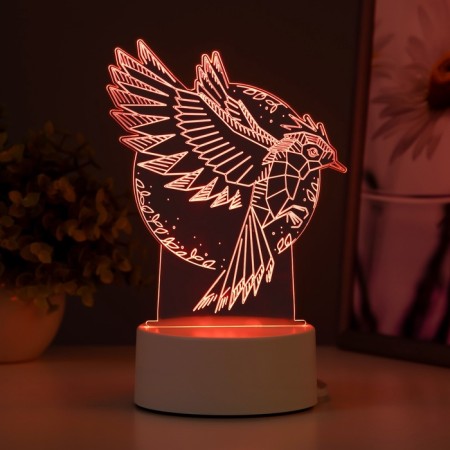 Light "Bird" Led RGB from the network 13.5x9.5x16.9 cm Risalux-4