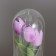 Nightlight "Tulips" LED 3HAAA Lilac 10.5x10.5x22cm