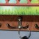 Key "Happy One.." 3 departments, 24x19x6 cm