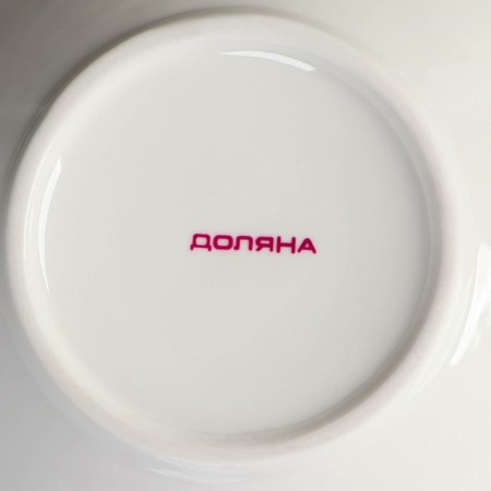 Gloria porcelain shaft, 450 ml, d = 21 cm, white color-4