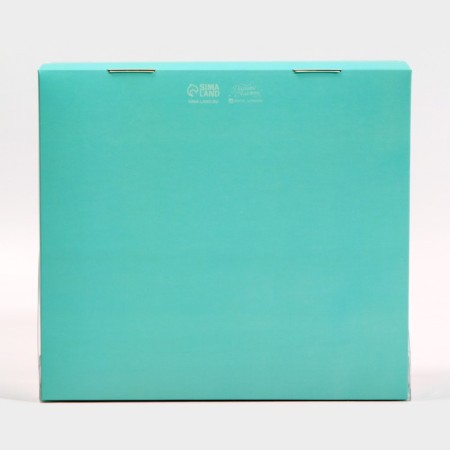 Confectionery box with PVC lid, packaging, Tiffany, 25 x 22.5 x 10 cm-4