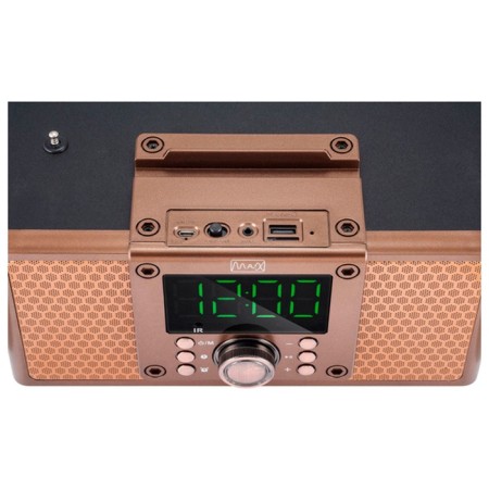 Portable acoustic system Max MR-360 Bronze-4