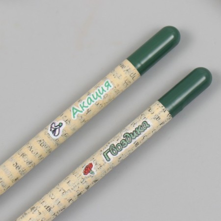 Growing gift pencils mini "Acacia and clove" set 2 pcs-4