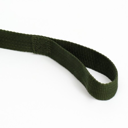 Leash 2 m x 2.5 cm, green-2