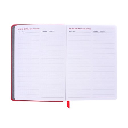 Dated diary 2025, A6+, 176 sheets "Lyon", solid cover, pancake embossing, with liesa, block 80 g/m2, red-7