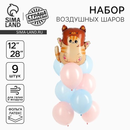 A set of balloons “cat in a hat”, foil, latex, 9 pcs.