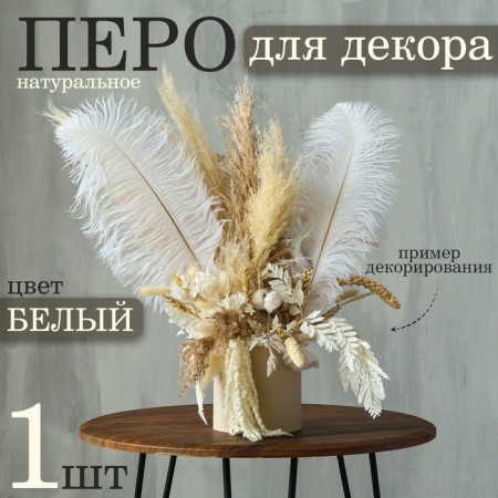 Feather for decor, length: from 45 to 50 cm, white color