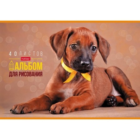 Album for drawing A4, 40 sheets, on paper clip, "favorite pets", covered cardboard, block 100 g/m², mix-3