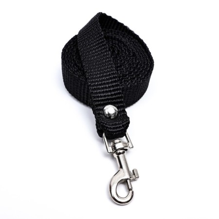 Kapronic leash, 120 x 1.5 cm, black-1