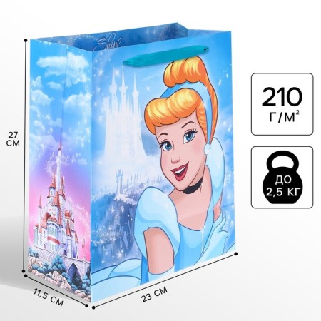 Gift package "Cinderella" 23x27x11.5 cm, packaging, princesses