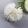 Artificial flowers "chrysanthemum pompom" d-6 cm 80 cm, white