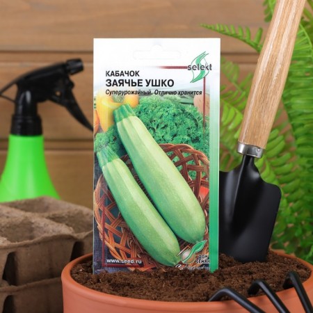 Semen zucchini "hare ear", 10 pcs.