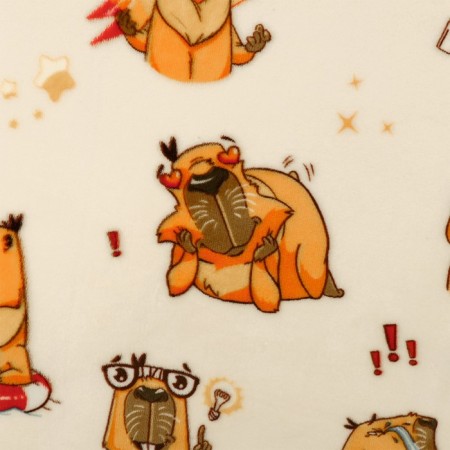 Capybara cover, size 150x200 cm, Velsoft-4