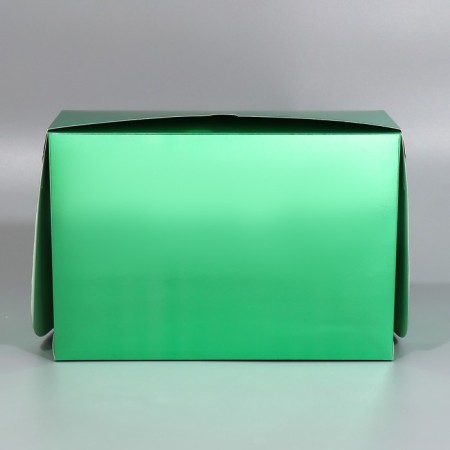 Capcake box, confectionery packaging with a window, 6 cells "Light green", 25 x 17 x 10 cm-4