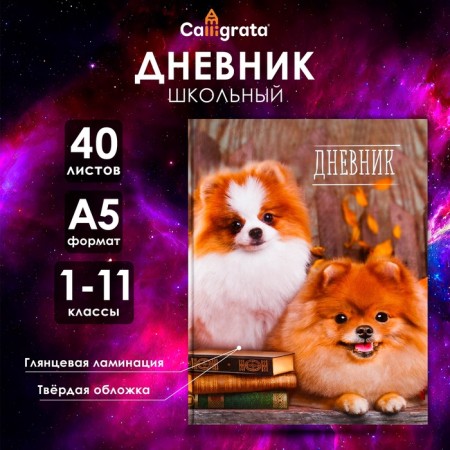 Universal diary for grades 1-11, "spitz", solid cover 7BC, glossy lamination, 40 sheets