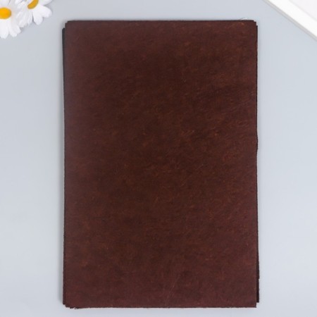 Fetr adhesive "brown" 1 mm (set of 10 sheets) A4 format format-1