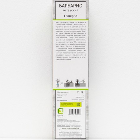 Barberis Ottavsky "Superbia" 1 pc, tube, spring 2025-2