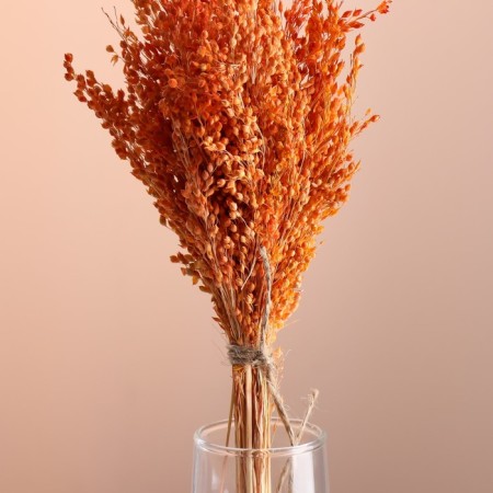 Set of dried flowers "millet", banch length 45 (+/- 6 cm), orange-1