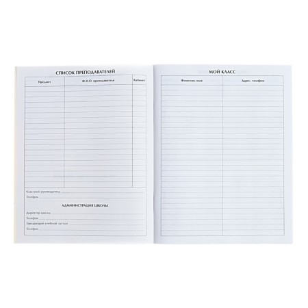 Universal diary for grades 1-11, "Anime Girl", soft cover, 40 sheets-7