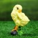 Garden figure "Chickens" 15cm, a set of 4 pcs