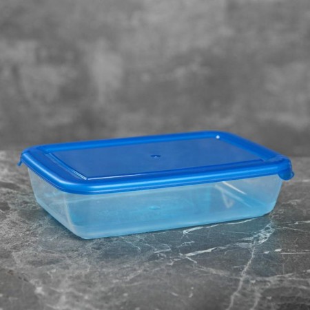 Food container "Light", 450 ml, color mix-4
