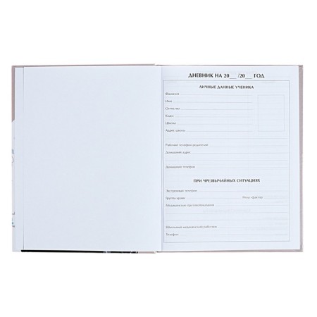 Universal diary for grades 1-11 anime. Let's be together, solid cover, glossy lamination, 40 sheets-3