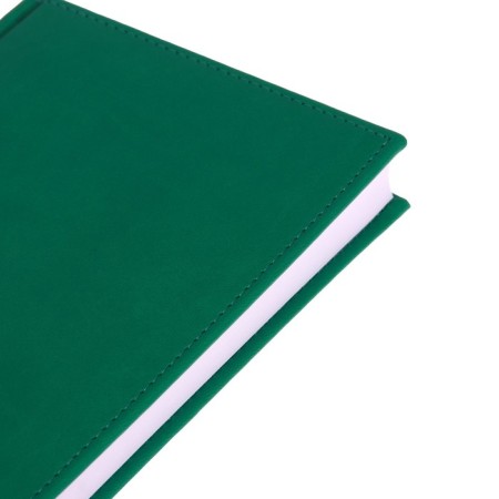 Deliciper of Leduced A5, 160 Vivevella sheets, artificial leather cover, light green-2