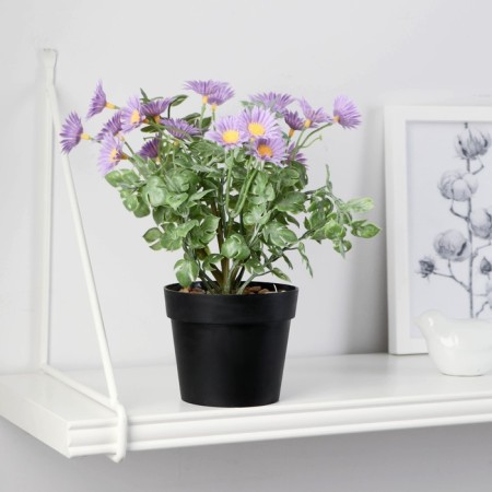Bonsai in the pot "Chamomile Trushka" 9x22 cm, mix