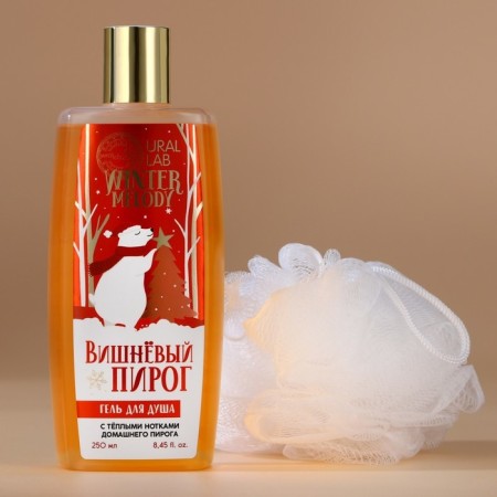 Gift set of cosmetics, shower gel 250 ml and washcloth, Winter Melody by Ural Lab-2