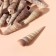 Treasury shells "Spiral" set 100 grams