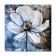 Picture on canvas "Flower with golden petals" 50*50 cm