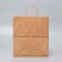 Package Craft without print, twisted handle, 28 x 15 x 32 cm