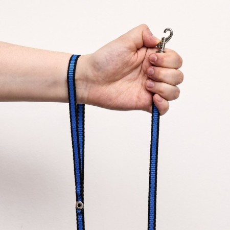 Kapronic leash, 1.6 m x 1 cm, black-blue-6