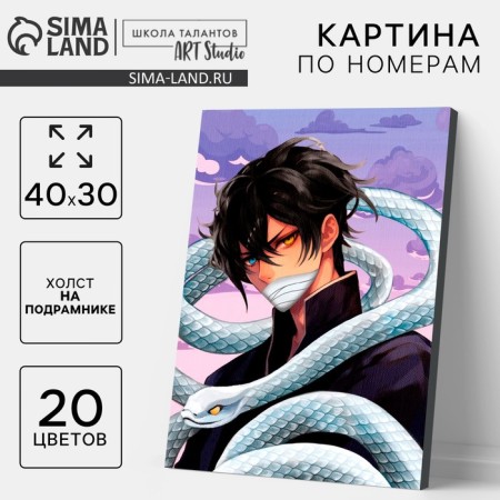 Picture on numbers on a canvas with a subframe of the "Anime Zmei" 30*40 cm