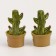 Miniature Puppet "Cactus in a pot", set 2 pcs., Size 1 pc. - 1.7 × 2.5 × 1.7 cm