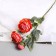 Flowers artificial "Elsa peony" D-10 cm 64 cm, peach