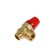 Obranch valve "STM" thermo, internal/outer thread 1/2, 6 bar